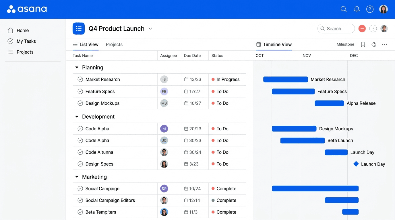 asana-review